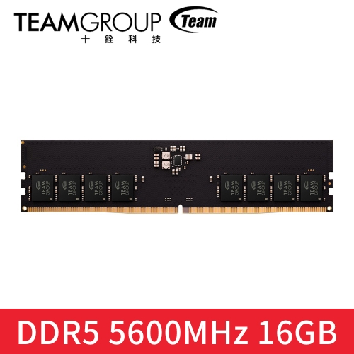 搭4060/4060TI顯示卡，十銓 ELITE DDR5 5600 16GB CL46 記憶體 1:1