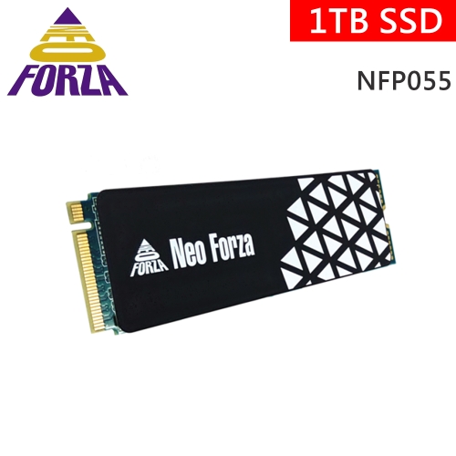 凌航 Neo Forza NFP055 1TB Gen3.1 讀3000/寫2000/5年保