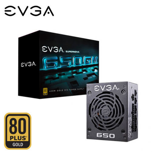EVGA 艾維克 650W 650 GM 80 PLUS 金牌 SFX 電源供應器